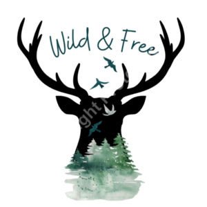 Wild and Free Drink bottle Design